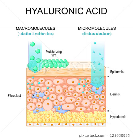 Hyaluronic acid. Hyaluronic acid. 125630935