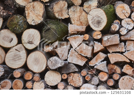Log Pile Closeup Log Pile Closeup 125631108