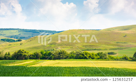 landscape with rural field. mountainous countryside of romania in summer. cloudy sky. picturesque highland landscape with rural field. mountainous countryside of romania in summer. cloudy sky. picturesque highland 125631257