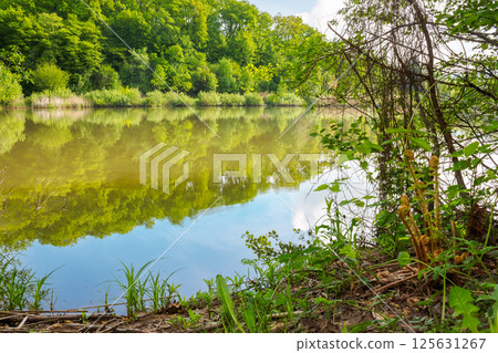 landscape with lake among forested hills in summer. serene weather. outdoor environment under blue sky for vacation or fishing. reflection of green scenery with deciduous trees in morning light landscape with lake among forested hills in summer. serene weather. outdoor environment under blue sky for vacation or fishing. reflection of green scenery with deciduous trees in morning light 125631267