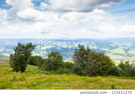 deciduous trees on the green hillside. outdoor adventure. scenery with forested hills of carpathian mountains. scenic view from borzhava ridge on a cloudy day. transcarpathia landscape in summer deciduous trees on the green hillside. outdoor adventure. scenery with forested hills of carpathian mountains. scenic view from borzhava ridge on a cloudy day. transcarpathia landscape in summer 125631270