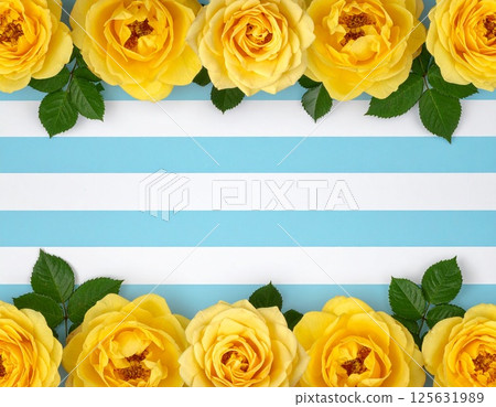 Background of yellow roses on a light blue and white striped background Background of yellow roses on a light blue and white striped background 125631989