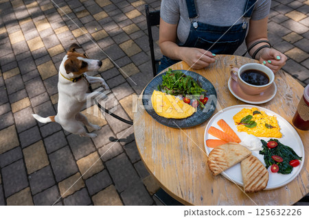 Jack Russell begging the owner in a street cafe. Woman having breakfast in dog friendly outdoor cafe. Jack Russell begging the owner in a street cafe. Woman having breakfast in dog friendly outdoor cafe. 125632226