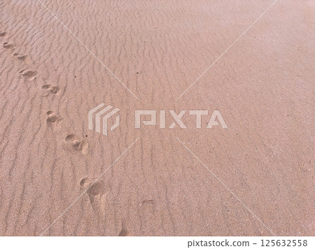 Footprints on sandy beach with wavy patterns Footprints on sandy beach with wavy patterns 125632558