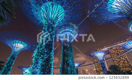 Futuristic view of amazing illumination at Garden by the Bay night timelapse hyperlapse in Singapore. 125632899