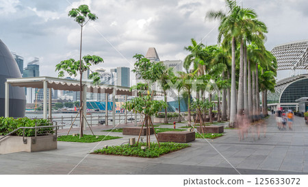 Walk way with palms beside at parks and outdoor of marina bay with Singapore skyscrapers skyline timelapse hyperlapse 125633072