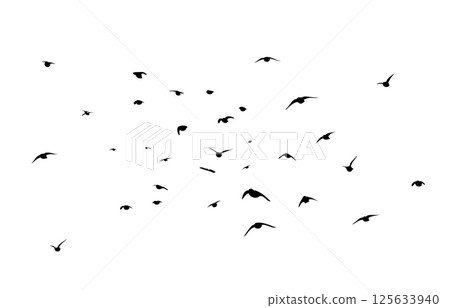 Flying birds silhouette flock. hand drawing. Not AI. Vector illustration 125633940