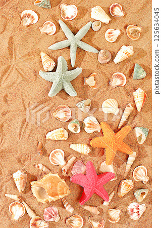 Exotic seashells and starfish on sandy sunny beach,natural background and tourism advertisement,summer holiday concept,sunny banner,selective focus. 125634045