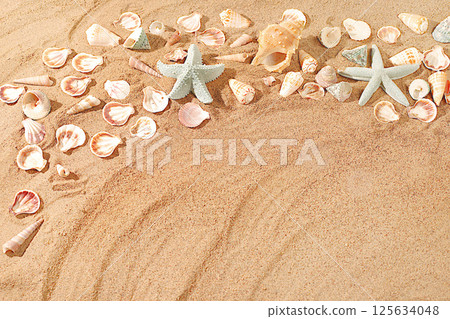 Exotic seashells and starfish on a sandy sunny beach,natural background and tourism advertising,summer holiday concept,sunny banner,place for text,selective focus. Exotic seashells and starfish on a sandy sunny beach,natural background and tourism advertising,summer holiday concept,sunny banner,place for text,selective focus. 125634048