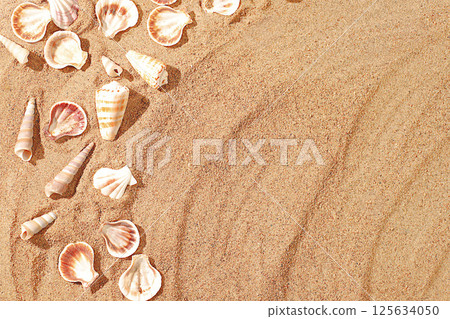 Exotic seashells on a sandy sunny beach,natural background and tourism advertising,summer holiday concept,sunny banner,place for text,selective focus. Exotic seashells on a sandy sunny beach,natural background and tourism advertising,summer holiday concept,sunny banner,place for text,selective focus. 125634050