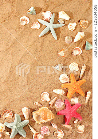 Exotic seashells and starfish on a sandy sunny beach,natural background and tourism advertising,summer holiday concept,sunny banner,place for text,selective focus. 125634059