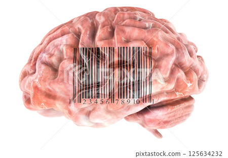 Brain with barcode, 3D rendering Brain with barcode, 3D rendering 125634232