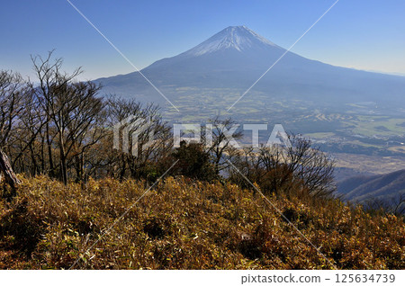 從天子山的天嶽眺望富士山 125634739