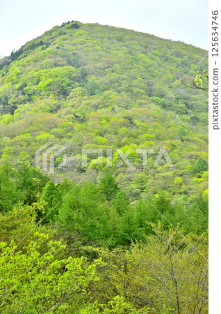 A view of the large rocks with fresh greenery from Mount Takasashi in Tanzawa A view of the large rocks with fresh greenery from Mount Takasashi in Tanzawa 125634746