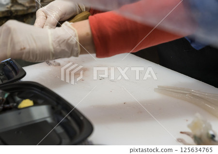 Scene of preparing live squid from Hakodate 125634765