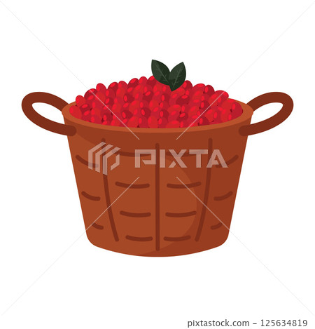 Basket of red coffee fruit. Vector 125634819