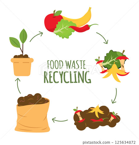 Compost food cycle chart. Vector 125634872