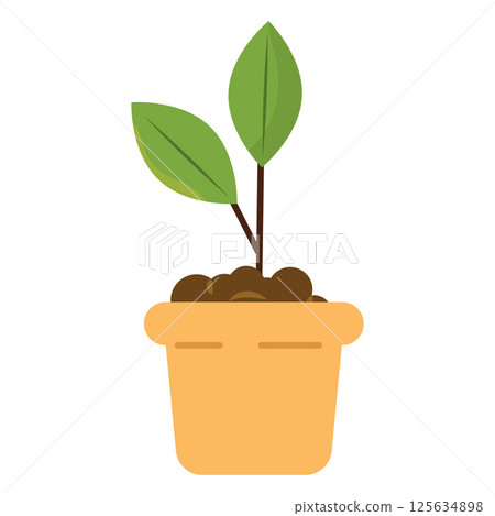 Plant growing in pot. Vector 125634898
