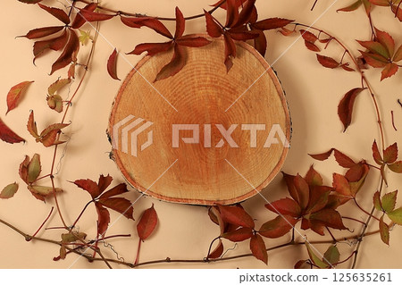 Minimal abstract background for cosmetic products presentation.Empty premium podium with shadows of tropical palm leaves on beige wall,template for design,pedistal display podium,selective focus 125635261