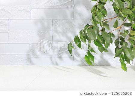 Minimal abstract background for cosmetic products presentation.Empty premium podium with shadows of tropical palm leaves on beige wall,template for design,pedistal display podium,selective focus 125635268