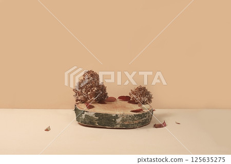 Minimal abstract background for cosmetic products presentation.Empty premium podium with shadows of tropical palm leaves on beige wall,template for design,pedistal display podium,selective focus 125635275