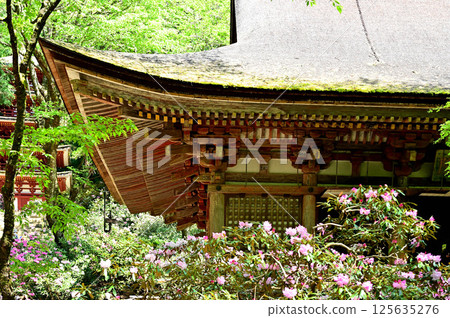 Muroji Temple Main Hall Muroji Temple Main Hall 125635276
