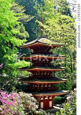 Muroji Temple five stories 125635284