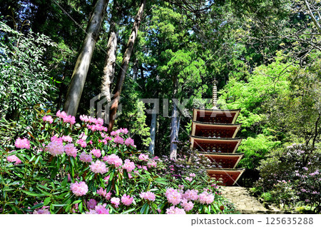 Muroji Temple five stories 125635288