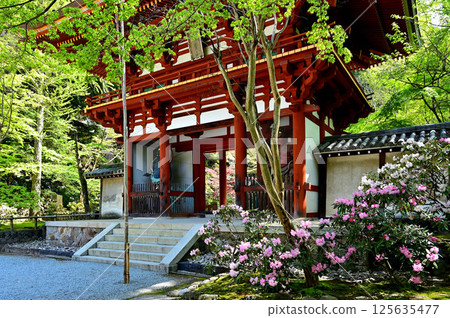 Muroji Temple 125635477