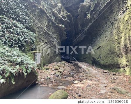 Landscape with a cave 125636018