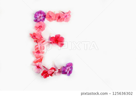 Letter E made from real fresh flowers. Floral font concept. Unique collection of letters and numbers for design. Spring, summer, autumn and valentines, creative idea, selective focus Letter E made from real fresh flowers. Floral font concept. Unique collection of letters and numbers for design. Spring, summer, autumn and valentines, creative idea, selective focus 125636302