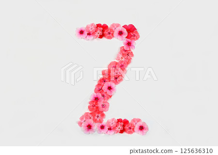 A letter Z made from real fresh flowers. Creative floral font concept. Unique collection of letters and numbers for design. Spring, summer, autumn and valentines, creative idea, selective focus A letter Z made from real fresh flowers. Creative floral font concept. Unique collection of letters and numbers for design. Spring, summer, autumn and valentines, creative idea, selective focus 125636310