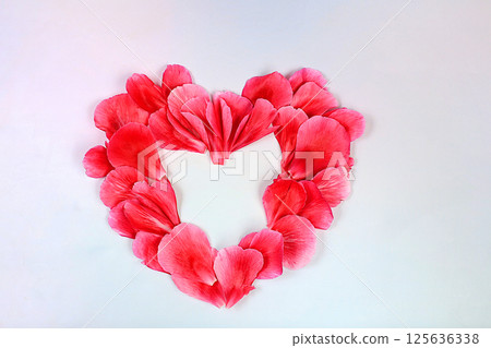 Valentine's Day or Women's Day concept,background. Greeting card with a heart of fresh flowers, petals, banner with place for text, elements for use in a graphic editor, happy holidays, selective Valentine's Day or Women's Day concept,background. Greeting card with a heart of fresh flowers, petals, banner with place for text, elements for use in a graphic editor, happy holidays, selective 125636338
