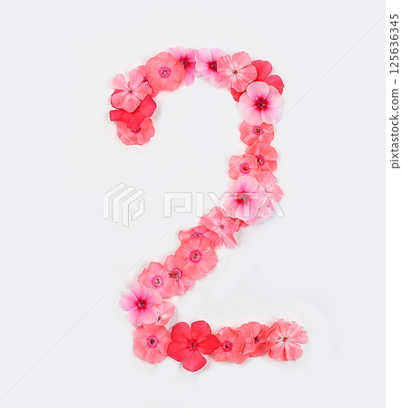 Number 2 made from real fresh flowers. Floral font concept, alphabet. Unique collection of letters and numbers for design. Spring, summer, autumn and valentines, creative idea, selective focus Number 2 made from real fresh flowers. Floral font concept, alphabet. Unique collection of letters and numbers for design. Spring, summer, autumn and valentines, creative idea, selective focus 125636345