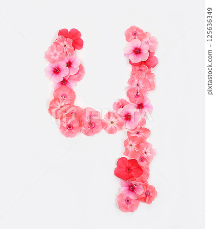 Number 4 made from real fresh flowers. Floral font concept, alphabet. Unique collection of letters and numbers for design. Spring, summer, autumn and valentines, creative idea, selective focus Number 4 made from real fresh flowers. Floral font concept, alphabet. Unique collection of letters and numbers for design. Spring, summer, autumn and valentines, creative idea, selective focus 125636349