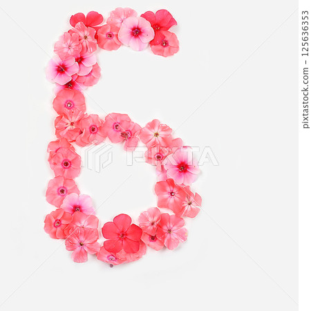 Number 6 made from real fresh flowers. Floral font concept, alphabet. Unique collection of letters and numbers for design. Spring, summer, autumn and valentines, creative idea, selective focus Number 6 made from real fresh flowers. Floral font concept, alphabet. Unique collection of letters and numbers for design. Spring, summer, autumn and valentines, creative idea, selective focus 125636353