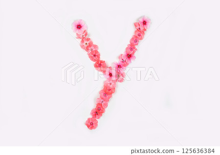 A letter Y made from real fresh flowers. Creative floral font concept. Unique collection of letters and numbers for design. Spring, summer, autumn and valentines, creative idea, selective focus A letter Y made from real fresh flowers. Creative floral font concept. Unique collection of letters and numbers for design. Spring, summer, autumn and valentines, creative idea, selective focus 125636384
