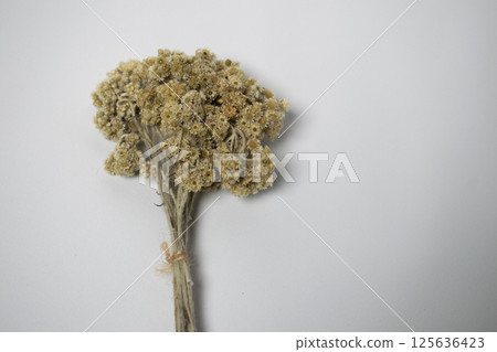 Dried Flower Bouquet Arrangement Rise Flower Decoration Dried Flower Bouquet Arrangement Rise Flower Decoration 125636423
