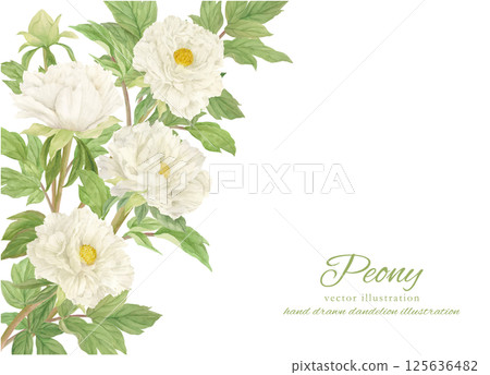 美麗的牡丹花框畫水彩 美麗的牡丹花框畫水彩 125636482