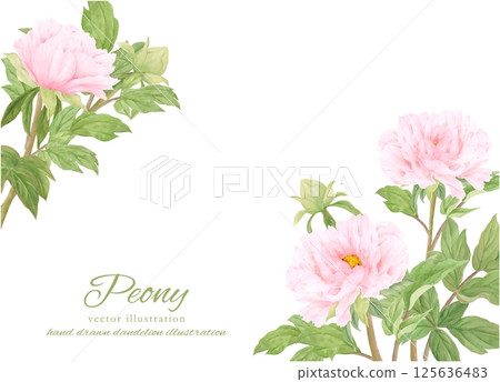 Beautiful peony flower frame painted in watercolor Beautiful peony flower frame painted in watercolor 125636483