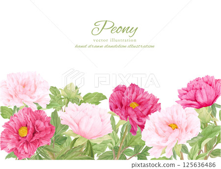 Watercolor painted pink peony flower frame 125636486