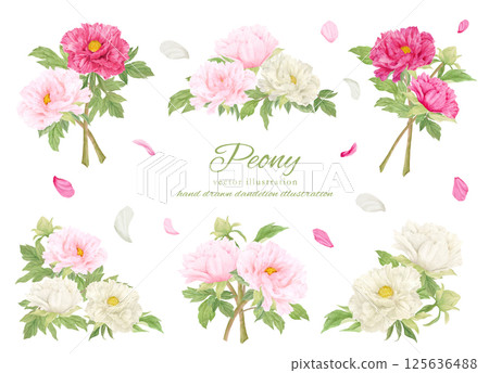 Watercolor pink peony flower cartoon material 125636488