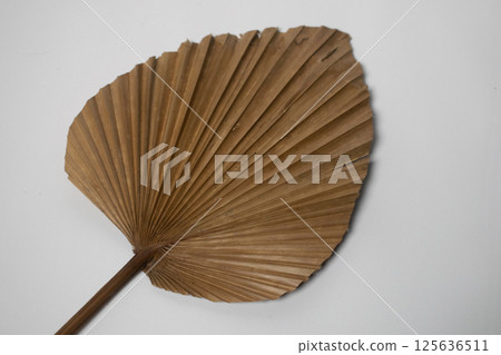 Dried palm leaves on a white background 125636511
