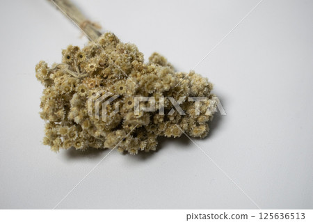 Dried Flower Bouquet Arrangement Rise Flower Decoration 125636513