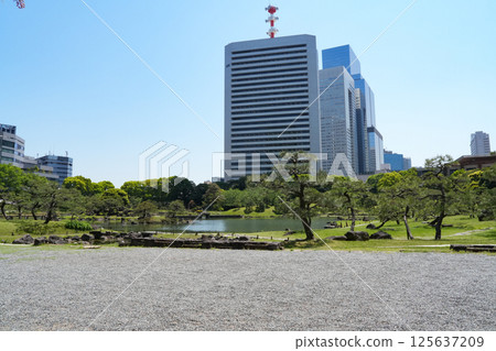 芝芝前花園 芝芝前花園 125637209