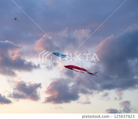 Kite Festival. Kites in the sky. A spectacle . Wind is like a force. air objects. Various forms. A beautiful sight. Aerodynamics. Object in the sky. Kite Festival. Kites in the sky. A spectacle . Wind is like a force. air objects. Various forms. A beautiful sight. Aerodynamics. Object in the sky. 125637823