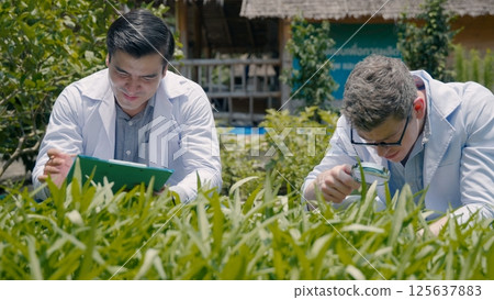 Two Biotechnology man engineer holding magnifying glass and looking at the vegetables leaf in hydroponics farm for disease, Professional researcher agriculture scientist take note in clipboard Two Biotechnology man engineer holding magnifying glass and looking at the vegetables leaf in hydroponics farm for disease, Professional researcher agriculture scientist take note in clipboard 125637883