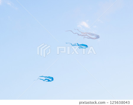 Kite Festival. Kites in the sky. A spectacle . Wind is like a force. air objects. Various forms. A beautiful sight. Aerodynamics. Object in the sky Kite Festival. Kites in the sky. A spectacle . Wind is like a force. air objects. Various forms. A beautiful sight. Aerodynamics. Object in the sky 125638043