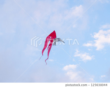 Kite Festival. Kites in the sky. A spectacle . Wind is like a force. air objects. Various forms. A beautiful sight. Aerodynamics. Object in the sky. Kite Festival. Kites in the sky. A spectacle . Wind is like a force. air objects. Various forms. A beautiful sight. Aerodynamics. Object in the sky. 125638044