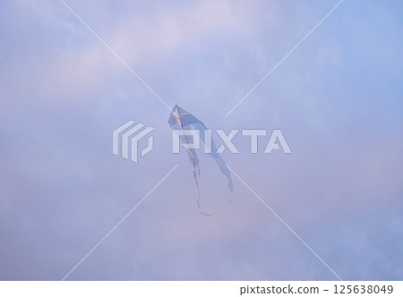 Kite Festival. Kites in the sky. A spectacle . Wind is like a force. air objects. Various forms. A beautiful sight. Aerodynamics. Object in the sky. Kite Festival. Kites in the sky. A spectacle . Wind is like a force. air objects. Various forms. A beautiful sight. Aerodynamics. Object in the sky. 125638049